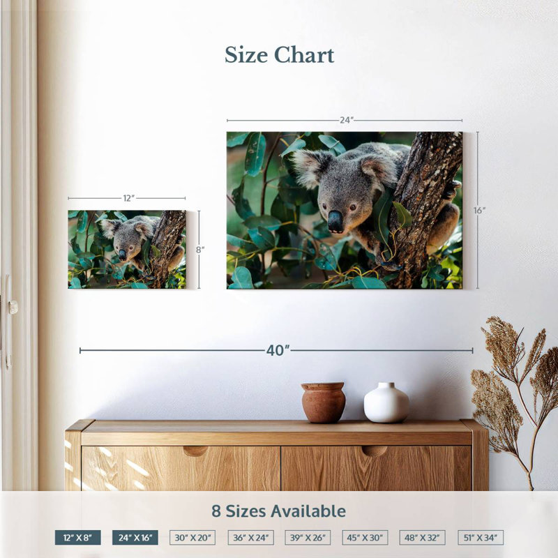 Australia Koala, 16" H x 24" W