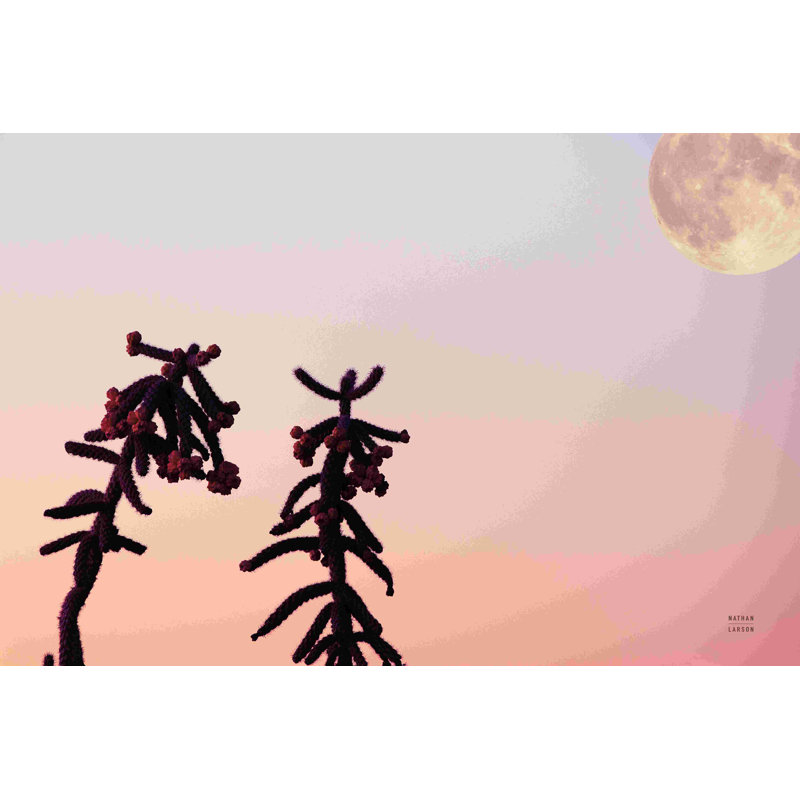 «Moon Desert» par Nathan Larson, photographie, H 32 po x l 48 po, Papier avec cadre blanc simple photo avec passe-pa