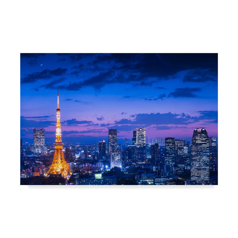 « tokyo night view », reproduction de photo sur toile tendue, H 12 po x l 19 po x P 2 po