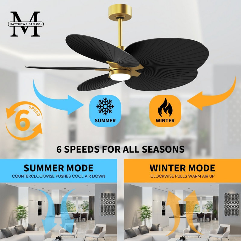 Alessandra Tropical - Five Blade Ceiling Fan - Integrated LED -Matte Black Finish -Light Blue Blades, Brushed Brass