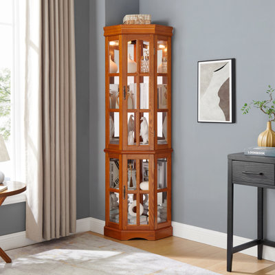 Corner Curio Cabinet With 5 Shelves And Lighting System by Red Barrel Studio