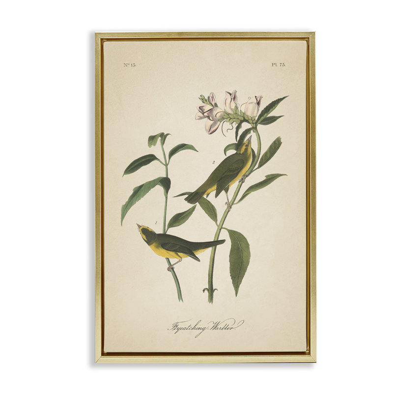 Toile flottante rétro encadrée par Wild Apple, Cadre flottant métallique doré, H 25 po x l 17 po