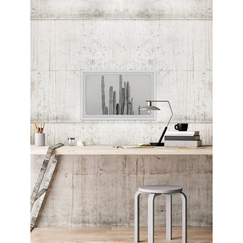 Long And Short Cacti by Morgan Hartley - Single Picture Frame Print, 61cm H x 91cm W x 4cm D, White Framed