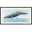 Oceans Majesty 2 Print