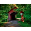 Covered Bridge, Yachats Print by Tom Kostes-1217015007