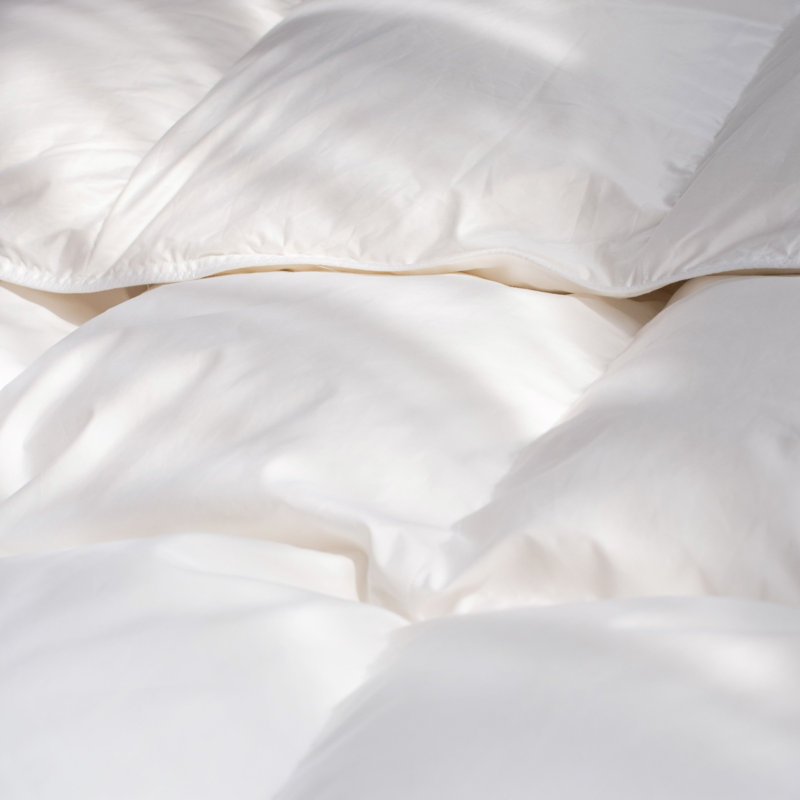 Insert de couette en duvet de canard blanc extra chaud 700, Lit simple