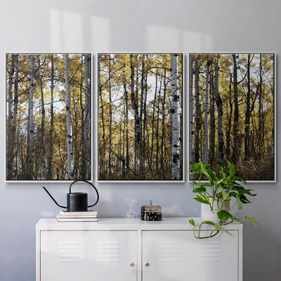 Sunny Grove - Toile encadrée multi-pièces