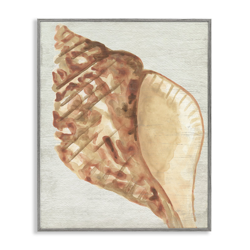  «Tan Conch Shell», estampe numérique de June Erica Vess encadrée, Estampe numérique Farmhouse, H 14 po x l 11 po