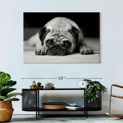Brampt Sad Pug