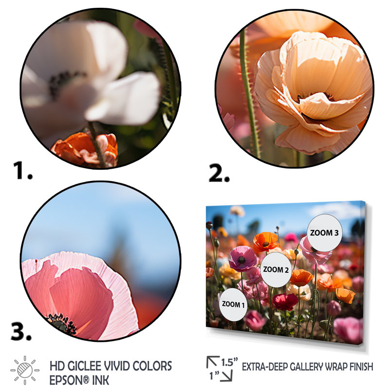 Champ de fleurs vibrantes I, H 16 po x l 32 po x P 1 po, Cadre simple noir