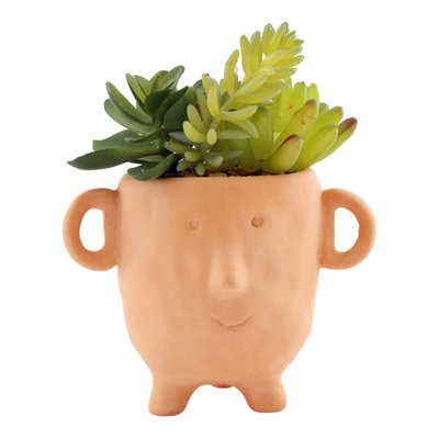 Faux Cactus Plant in Terracotta Pot