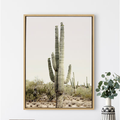 «Sunrise Cactus» par Amy Peterson, reproduction d'art sur toile encadrée