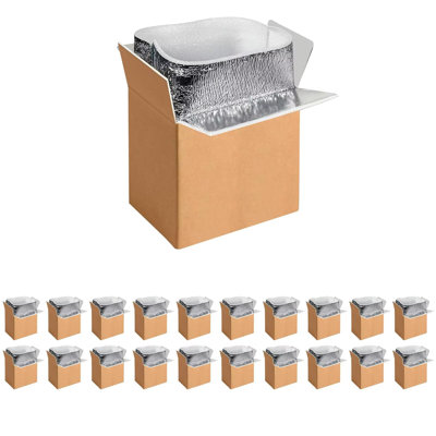 YSSOA - Paquet de 20 boîtes d'expédition isolées de 6 pouces x 5 pouces x 9 pouces avec doublure en aluminium, boîtes froides isolantes pour glacière, petite boîte aux lettres réutilisable en polystyrène réutilisable