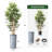 Artificial Tree in Contemporary Geometric Pattern Planter Fake Bamboo Silk Tree Plant Pot Plus Tree-103592545