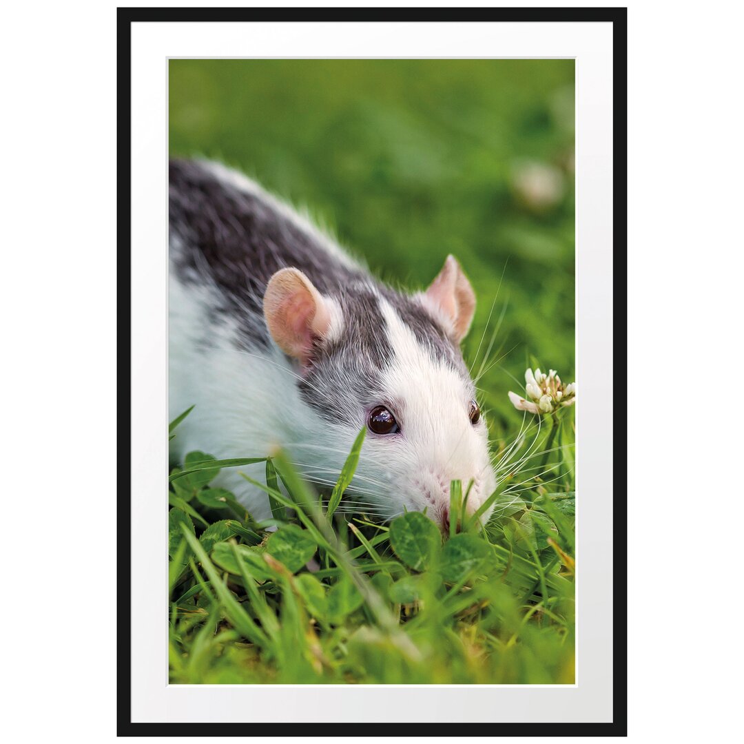 Gerahmtes Poster Maus auf Wiese