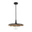 Luminaire suspendu noir 18 po Odette-87802246