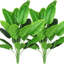 32 po plante artificielle feuille de bananier-1693977813