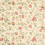 Mauve/Fennel