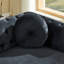 Fauteuil Chesterfield en velours avec boutons capitonnés-632706877-632706866