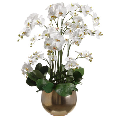 39"hx26"wx30"l Orchids In Planter White