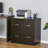 Mattigan 29.25'' Wide 2 - Drawer Filing Storage Cabinet-1986209206