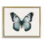 Art mural sur toile flottante, bleu sarcelle, papillon symétrique par Elizabeth Medley-1012437813-1012437812