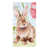 Brown/Blue Sitting Bunny Kitchen is out of stock