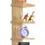 Étagère murale à 5 niveaux Sorbus, étagère utilitaire à colonne verticale pour la décoration intérieure et le rangement, tablettes flottantes murales pour le rangement de la salle de bain, chambre à coucher, salon, organisateur de cuisine, érable-108714271
