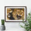 Two Lions - Framed Print-62792958-62792961