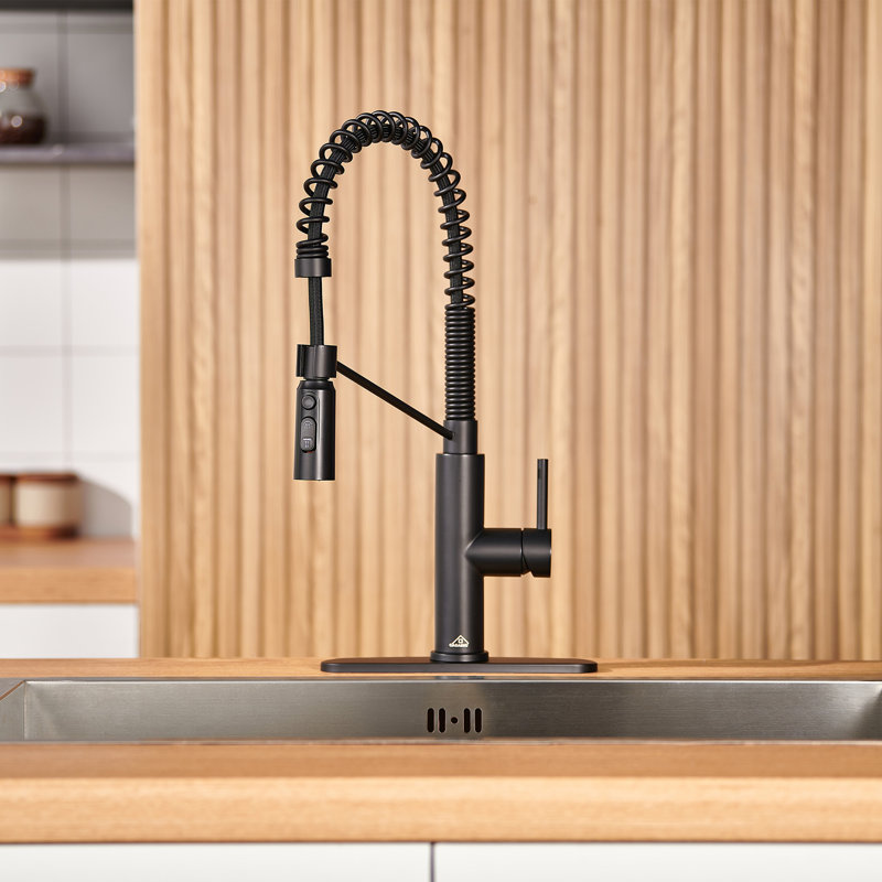 Robinet de cuisine à bec rétractable à ressort 1,8 GPM avec plaque de pont Bolden, Noir mat
