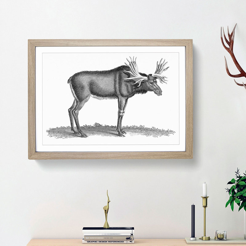 An Elk In Black And White by George Shaw - Single Picture Frame Print, 24cm H x 33cm W x 2cm D, Oak Framed
