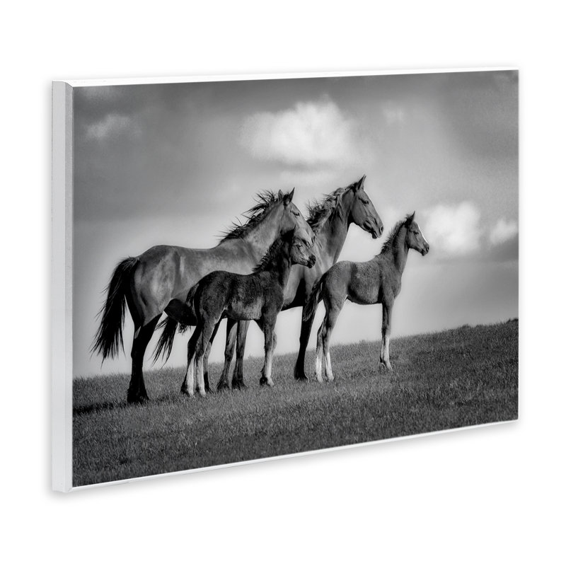 Plaque murale Babies On Board Horse Family, design par Wendy Caro, H 10 po x l 15 po