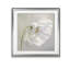 " Daisy Detail II "-33349165-33488461