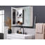 Domanik W H Surface Frameless Medicine Cabinet Mirror 2 Fixed-2141364793