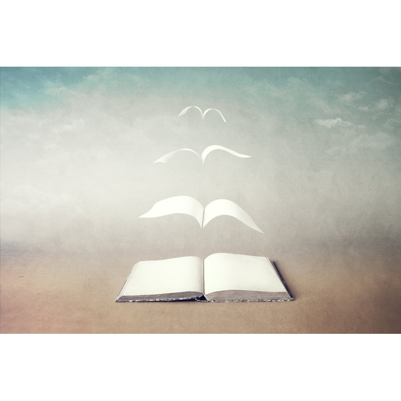 Pages Flying - Wrapped Canvas Print, 30cm H x 46cm W x 3.8cm D