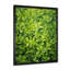 Herbes, thym, passage 1 - Art floral-1778332455-1811615744