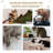 Octavio 254cm H Cat Tree