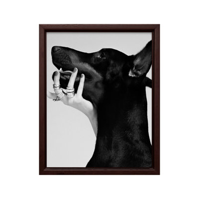 Dobermann noir
