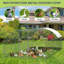 5.94m² Chicken Coop-1156586431