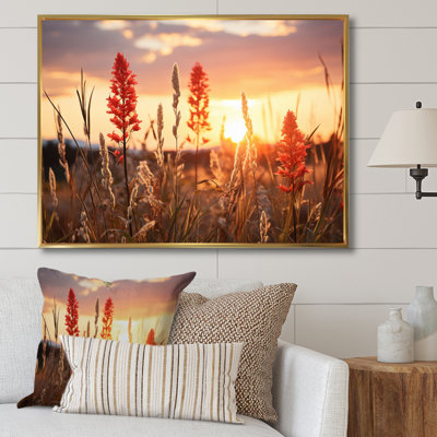 " Wildflowers Field With Sunset "