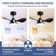 24" Small  Ceiling Fan With Light Remote Control