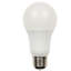 Ampoule DEL 12W E26