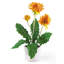 Arrangement floral Gerber Daisies