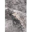 Laureno Area Rug-2109089083