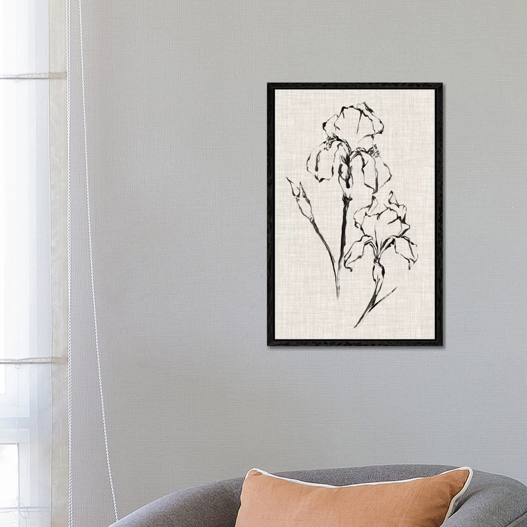 Floral Ink Study II von Ethan Harper - Galerieverpackte Leinwand Giclée auf Leinwand