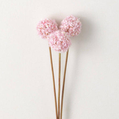 Eastern Avantgarde Allium Arrangement