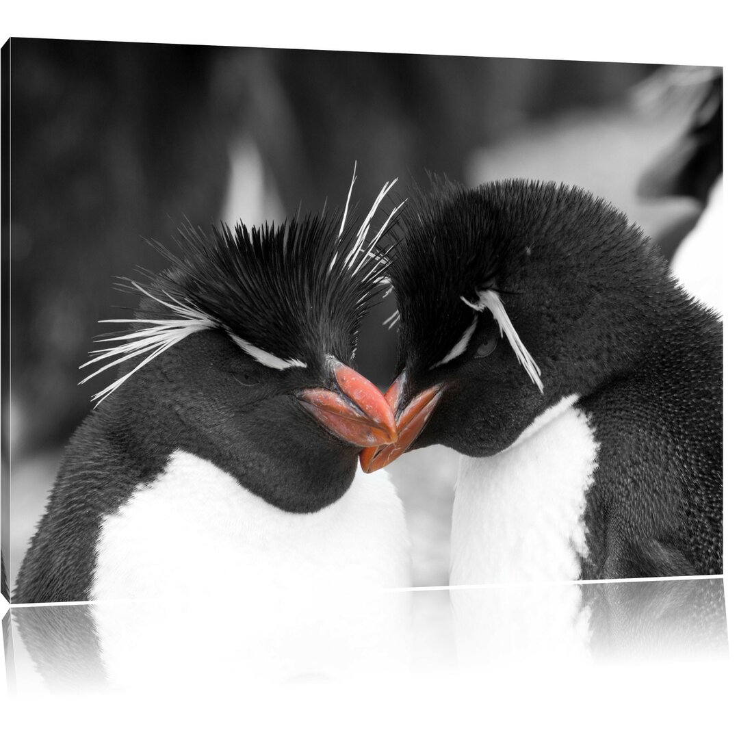 Leinwandbild Penguins Cuddling