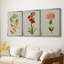 Botanical Array VI - Toile tendue avec châssis sur mesure - 3 pièces-916200994-916200995