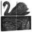 Réflexion du cygne noir