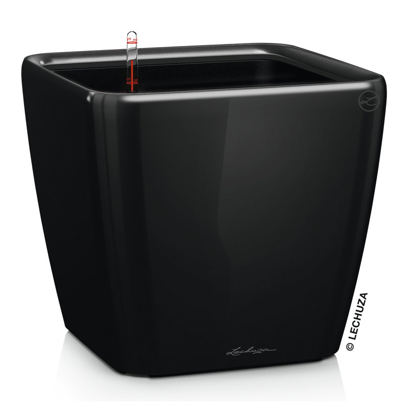 Quadro Premium Pot Planter, Black, 20cm H x 21cm W x 21cm D